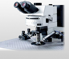 Olympus BX61Wi